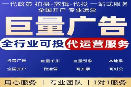百度SEO推广策略全解析：某企业从零到一的成长历程